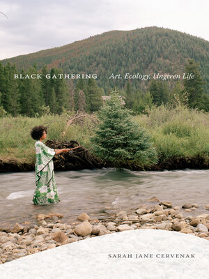 cover image of Black Gathering